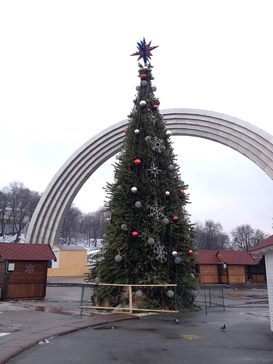 Новый Год по расписанию! В Киеве не на Майдане установили главную елку страны (Фото)